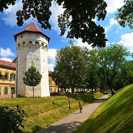 Casa Panzarului Appartement Sibiu Buitenkant foto
